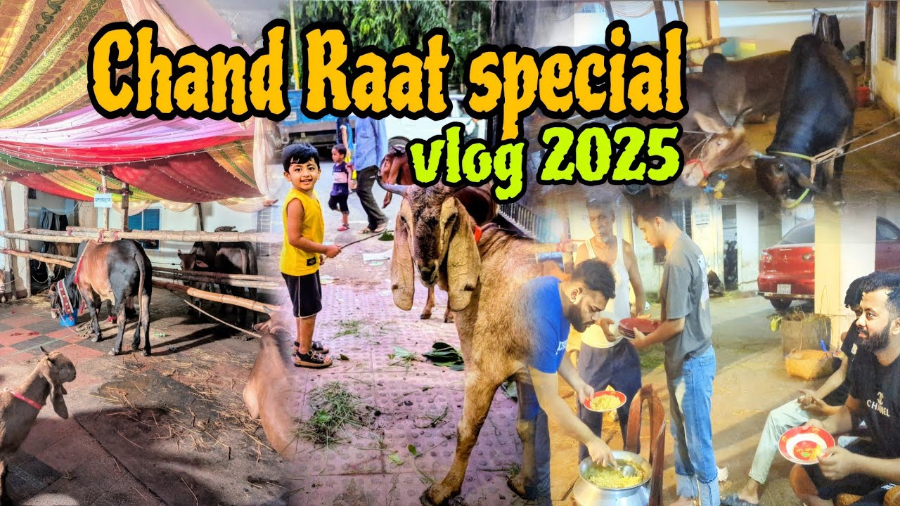 Chand Raat Special 2025 | Spending time with our animals❤️ | Chand Raat vlog | qurbani 2025❤️🐃#cow