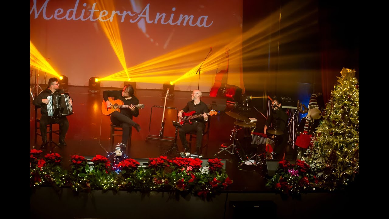 MediterrAnima Quartet (live Reel 2025)
