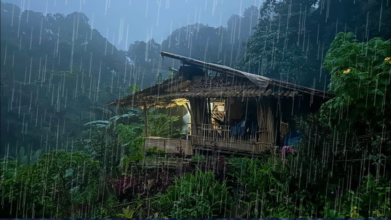 ใช้ชีวิตในป่าไร่นาEP.340 พายุฝนถล่มทั้งวันทั้งคืน นอนฟังเสียงฝนสบาย ไม่ต้องเดือดร้อนวุ่นวายกับใคร