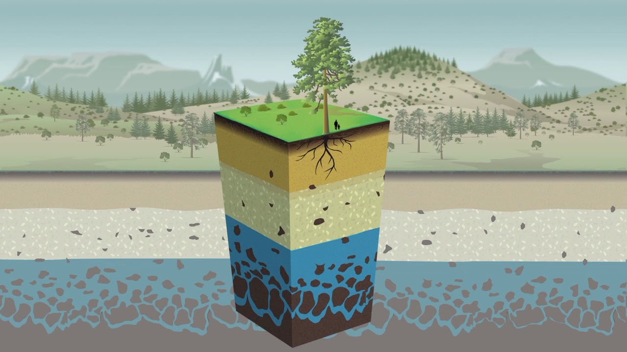 What is the Critical Zone?