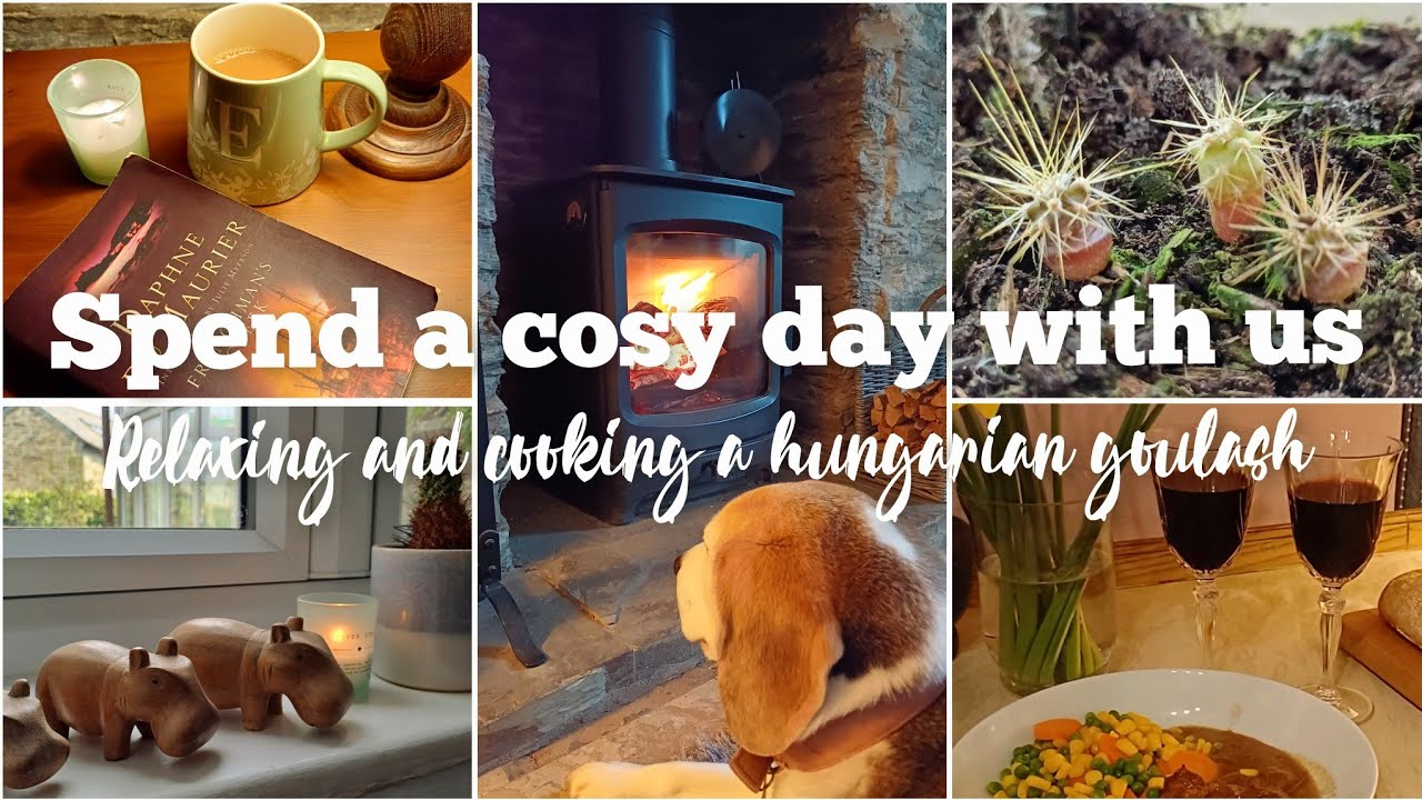 Slow living/calm day/growing cactus from seed/hungarian goulash/ASMR/country living/beagle/rural