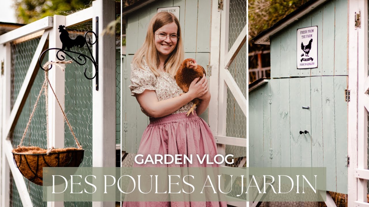 VLOG Slow Life | Construction d'un nouveau poulailler et accueil de poules