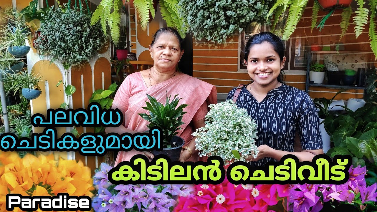INDOOR, OUTDOOR & FLOWERING PLANTS HOME GARDEN VISIT KERALA | PARADISE | EDAKULAM P.O