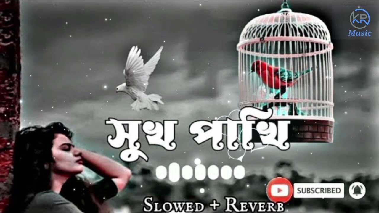 সুখ পাখি তোর প্রেমে মন মজাইয়া আমি / Shukh pakhi tor preme / KR MUSLC/ lofi song