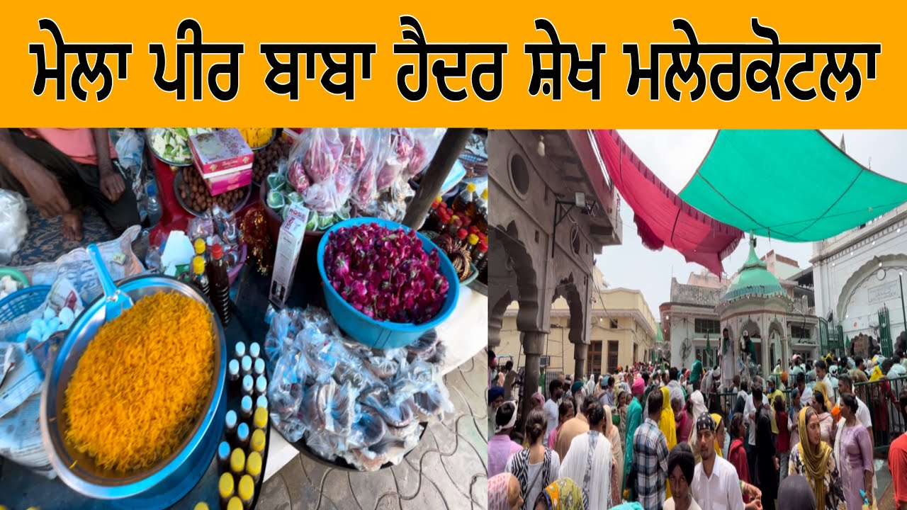 ਮੇਲਾ ਪੀਰ ਬਾਬਾ ਹੈਦਰ ਸ਼ੇਖ ਮਲੇਰਕੋਟਲਾ | Mela Peer Baba Haider Sheikh Malerkotla