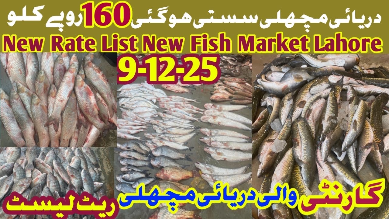 Lahore fish market ,Update fish market lahore , Lahore Machli Mandi, Pakistan fish street food