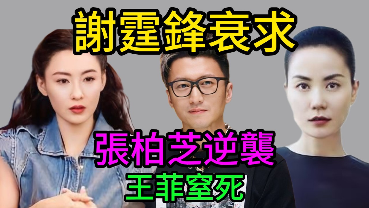【粵語】贏到開巷！張柏芝忍咗王菲14年，憑3個「神仙仔」逆天改命！Lucas劍橋錄取打殘酸民，謝霆鋒終於回頭？ #謝霆鋒 #張柏芝