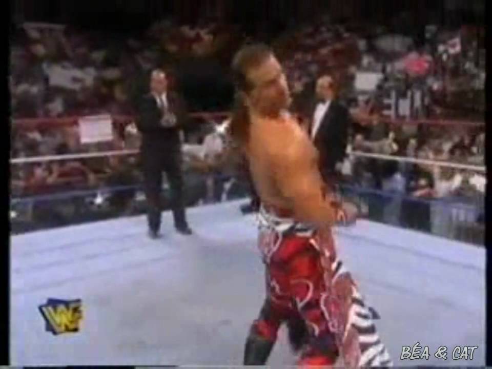 HBK This Is Why I'm Hot