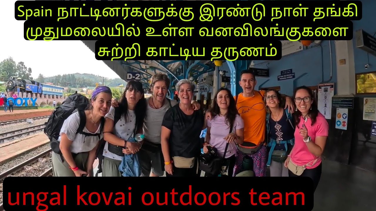 ஸ்பெயின் நாட்டவர்களுக்கு முதுமலையில் உள்ள வனவிலங்குகளை சுற்றி காட்டிய தருணம்|Our Spain guests|epi-1