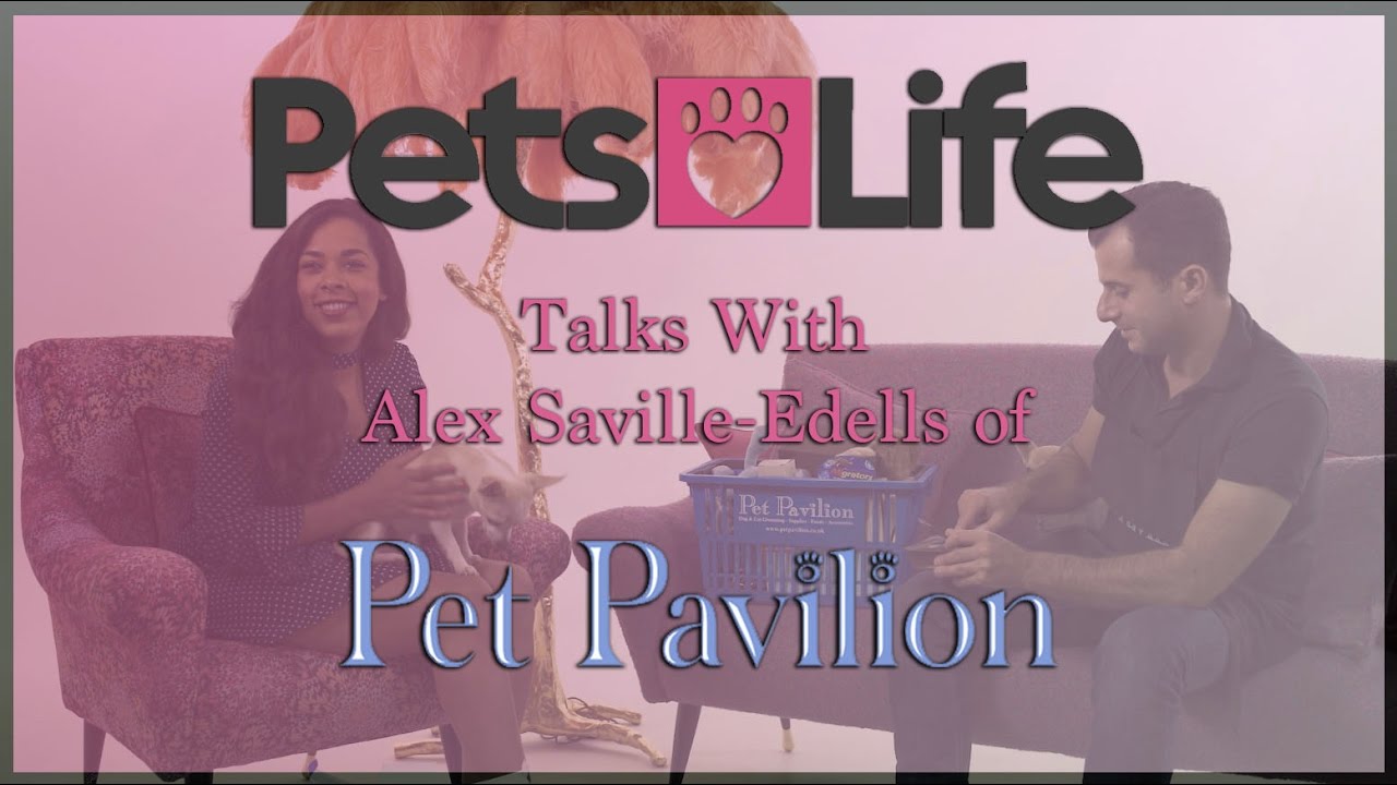 PetsLifeTV - Talking with Pet Pavilion