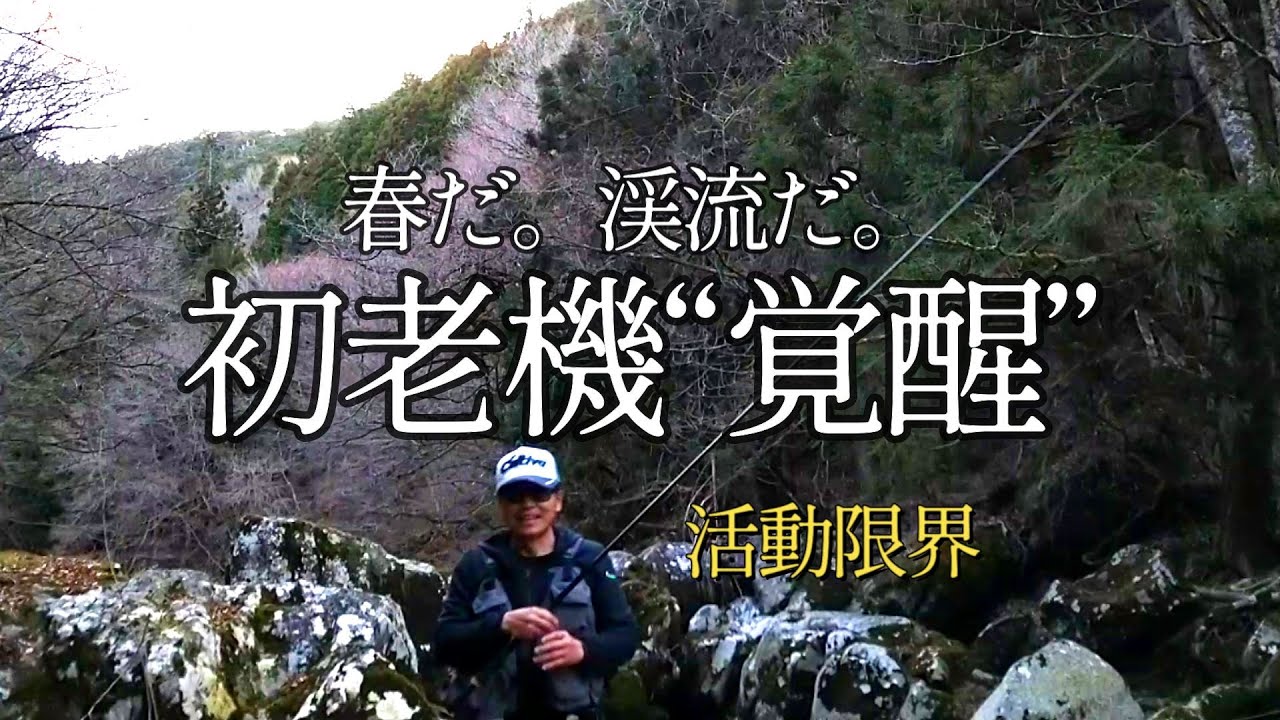 渓流  ヒレピンアマゴを求めて【餌釣り】