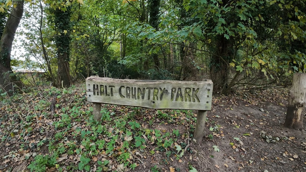Take a walk around Holt  Country Park