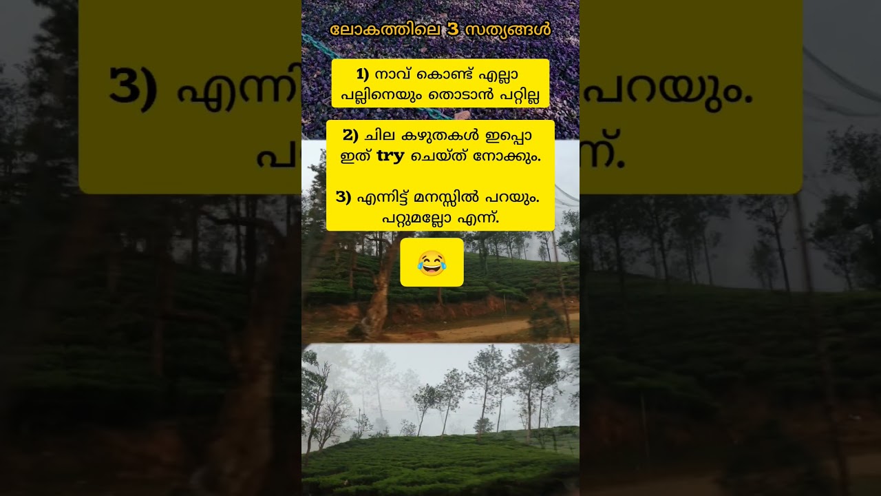 ലോകത്തിലെ മൂന്ന് സത്യങ്ങൾ #motivation #malayalam #lifequotes