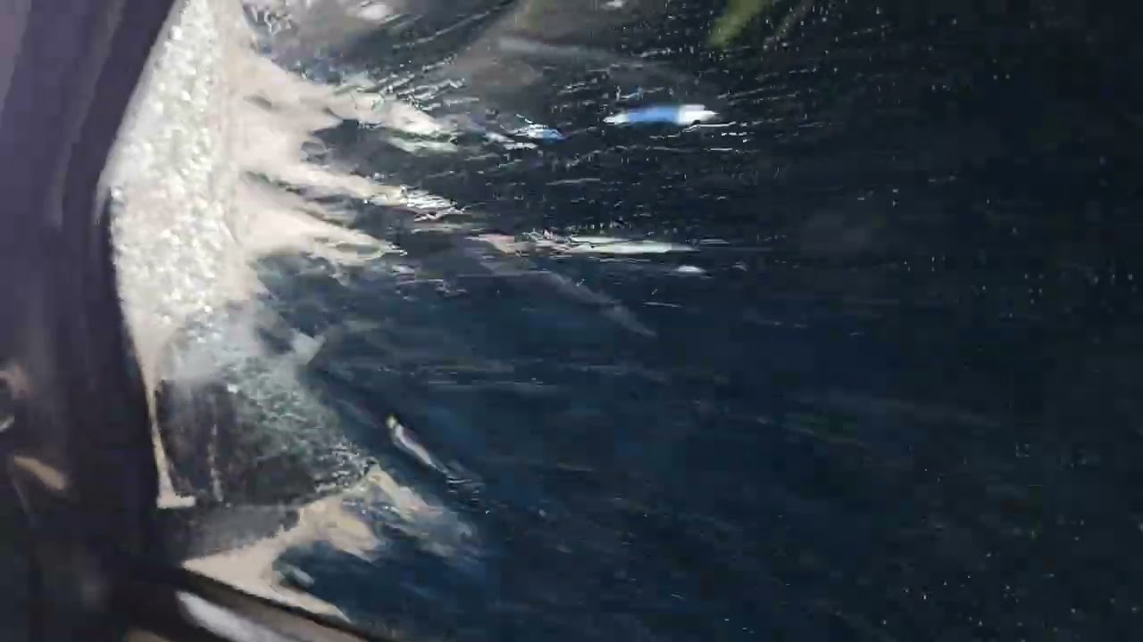 Car Wash From Inside POV 🚗💦 | Satisfying Giant Brushes