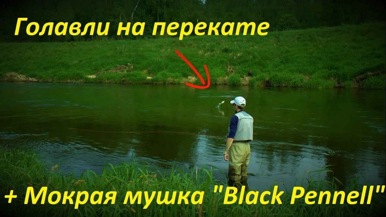 Голавли на перекате и мокрая мушка на голавля Black Pennell