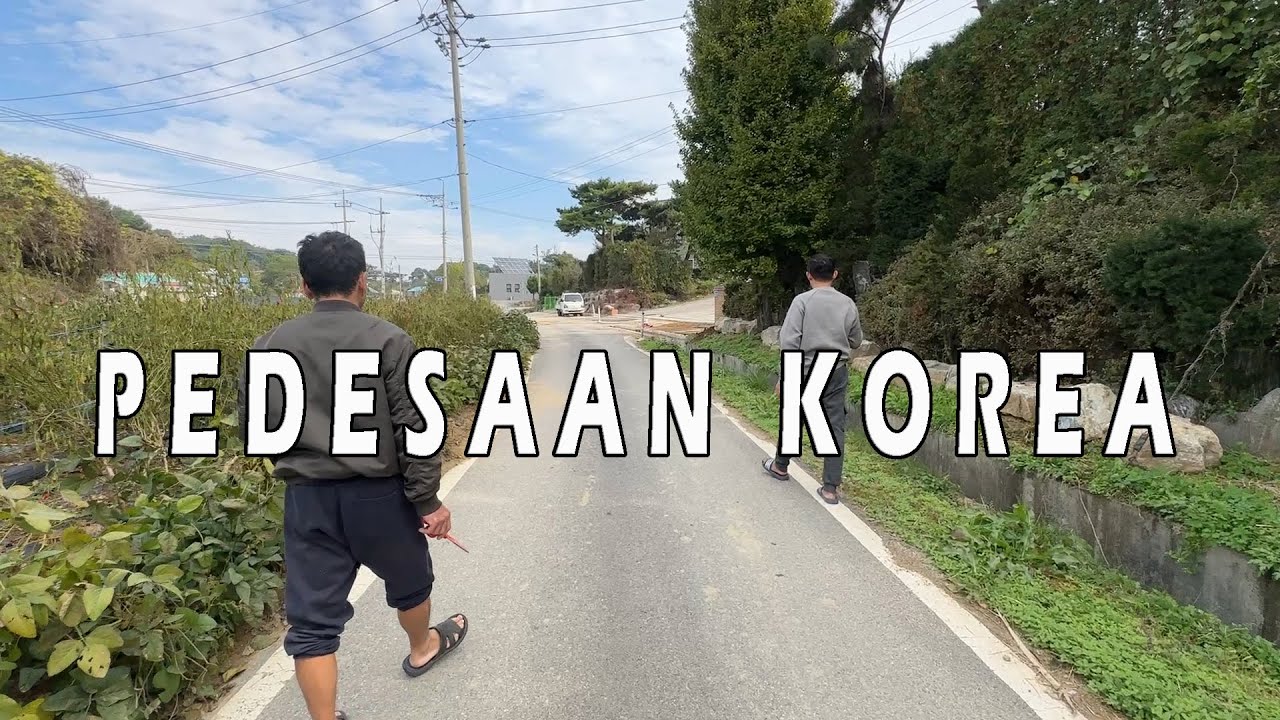 HIDUP DI PEDESAAN KOREA