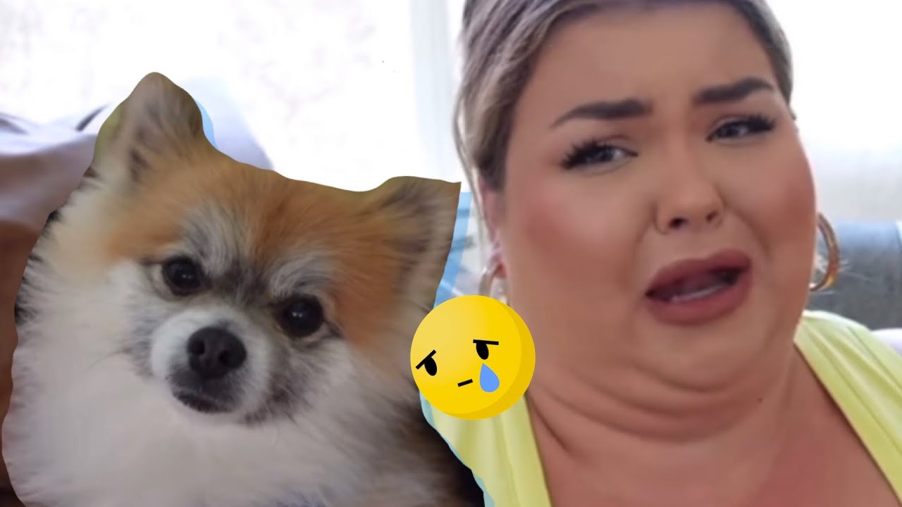 Coco's Adoption Story... Before Alex Dumped Him