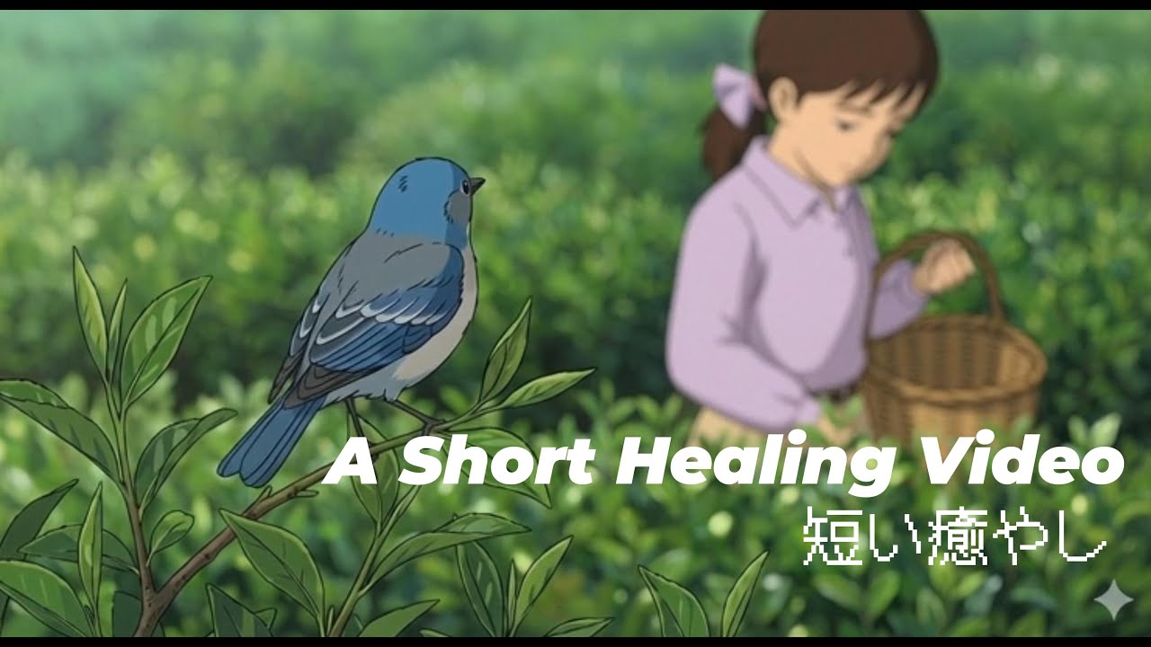 ASMR Healing Mountain Cabin Morning: Picking Fresh Tea Leaves 🌿｜山小屋の朝。摘みたてのお茶と、陽だまりの時間