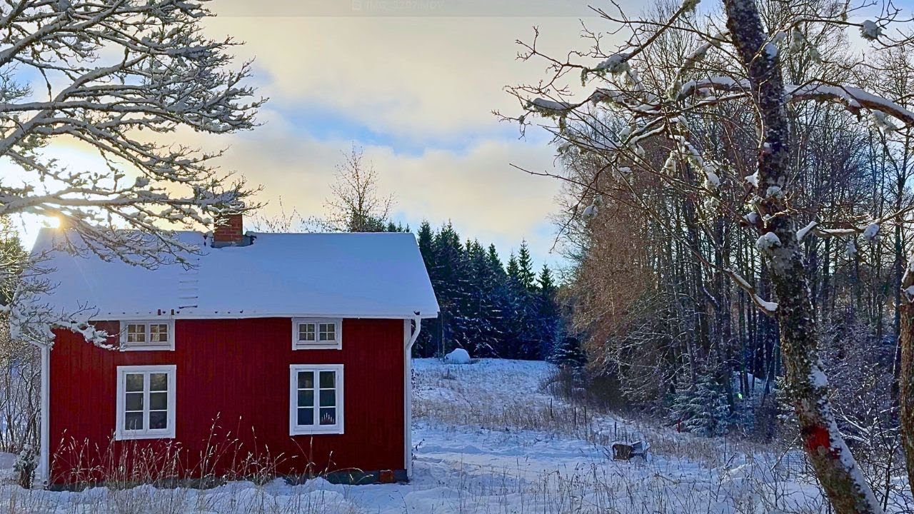 Wir wandern nach Schweden aus