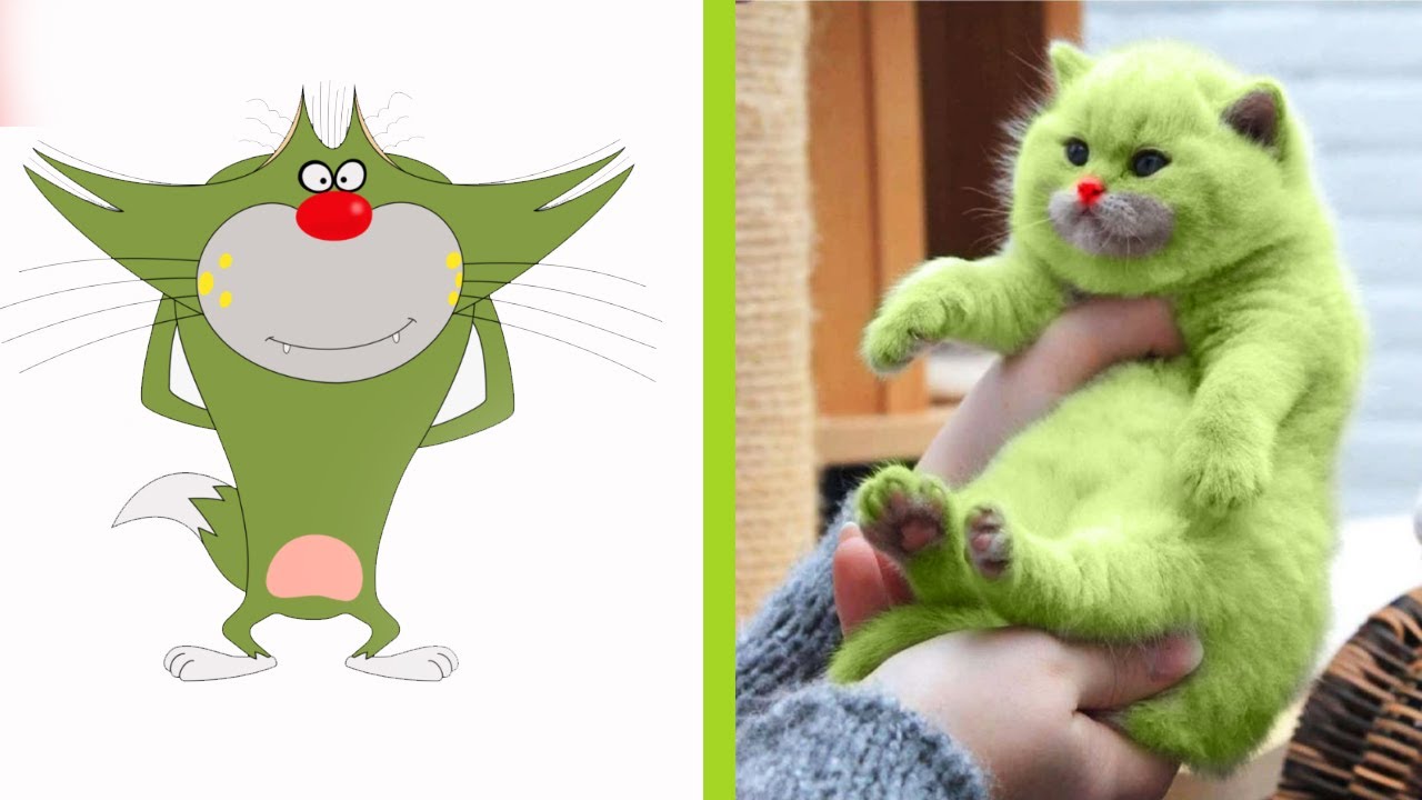 Oggy and the Cockroaches Characters In Real Life ( 2023 )