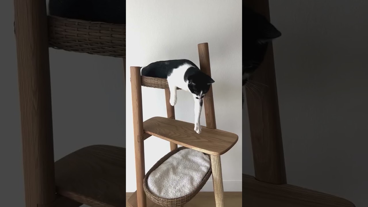 Introducing the Reiya from @mau pets&mdash;a cat tree reimagined as a work of art  Crafted from solid