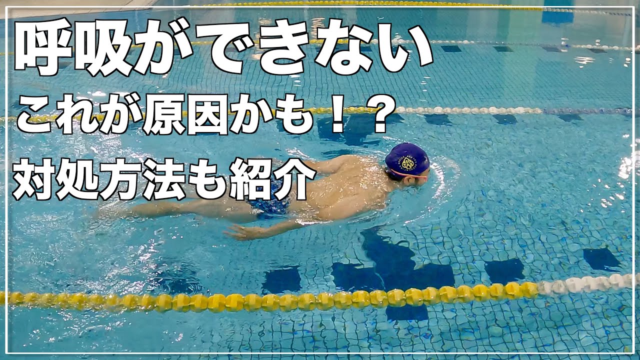 効果は絶大！？バタフライで呼吸がうまくいかない人に見直してもらいたい２つのポイント【水泳】【競泳】