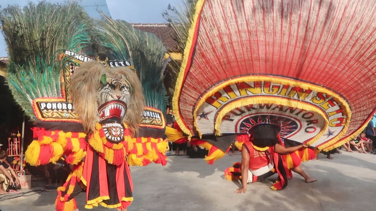 SPEKTAKULER ‼️ ATRAKSI HEBAT PEMBARONG GARIN ASMORO MAINKAN DADAK MERAK TERBESAR RINGIN SETO