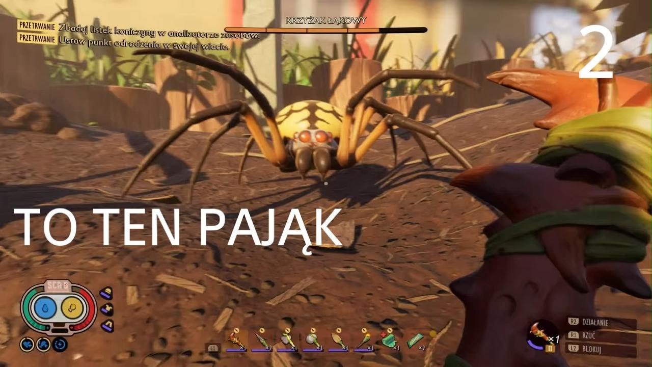 ZABIŁEM PAJĄKA GROUNDED ODC 2