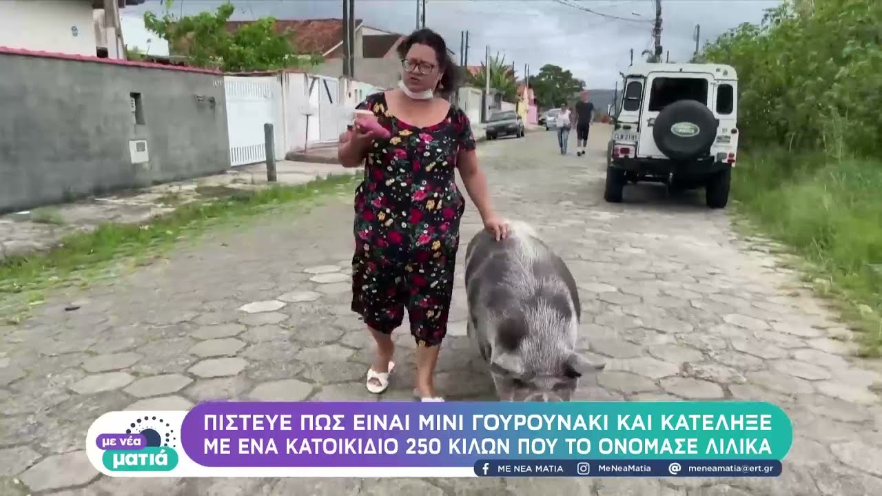 Κατοικίδιο γουρουνάκι...250 κιλών | 12/12/2021 | ΕΡΤ