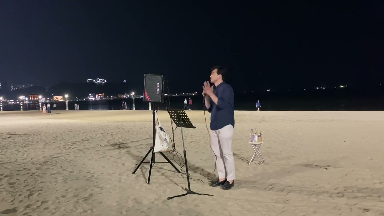 에델바이스 - 김범수 | covered by 머부르노 찰스 (버스킹공연)