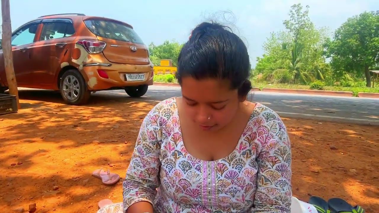 India tour by car part 8