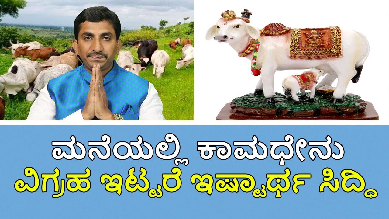 Cow Vastu: Kamdhenu statue placement at home | Vijay Karnataka