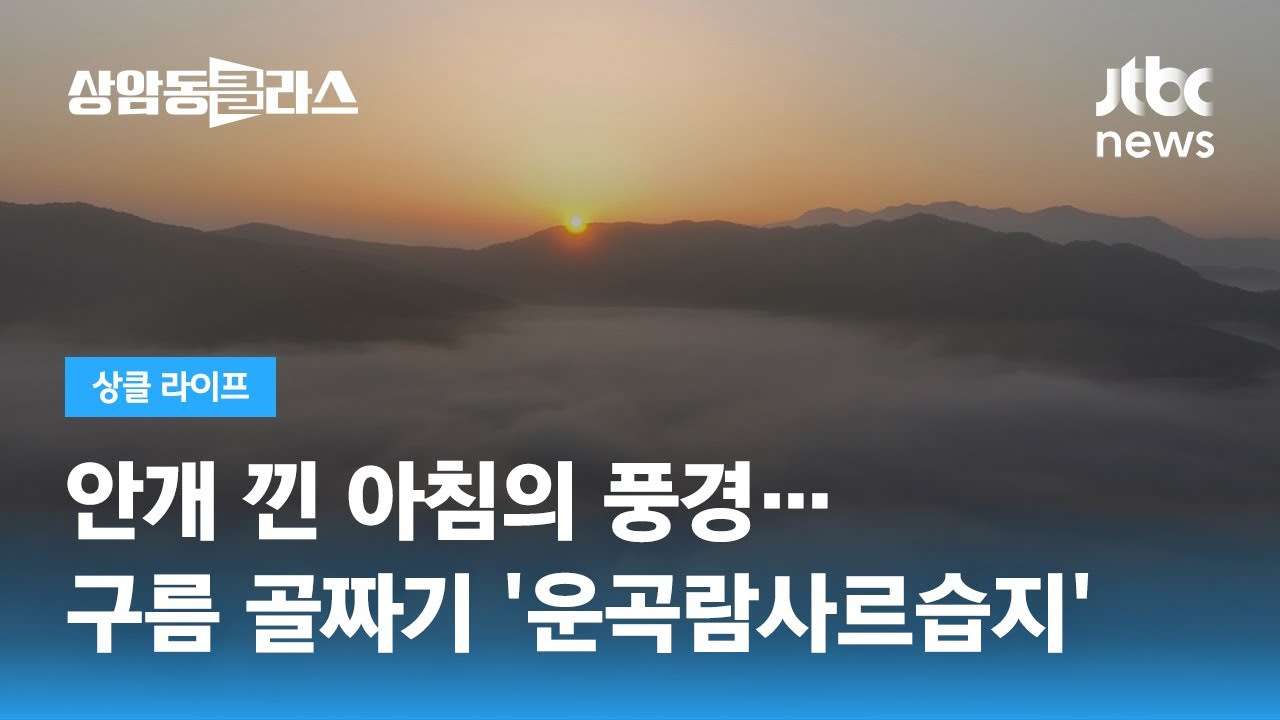 인간 떠난 뒤 스스로&hellip;귀중한 생태계의 보고 '운곡습지' / JTBC 상암동 클라스