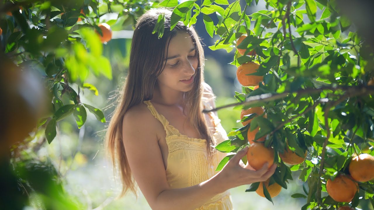 Winter Harvests from the Rainforest: Cooking a Native Plum Cheesecake, Sewing & Permaculture Farming