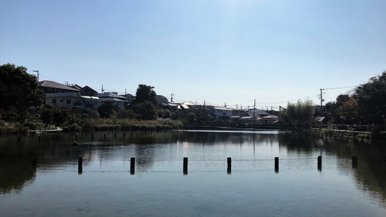 東京都大田区上池台ライブカメラ Tokyo Ota Kamiikedai Live Camera.world.cam