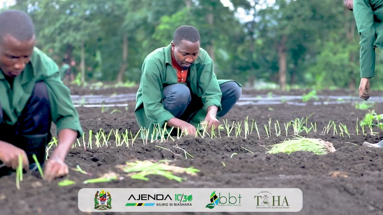 UTEKELEZAJI WA PROGRAMU YA BUILDING A BETTER TOMORROW - BBT