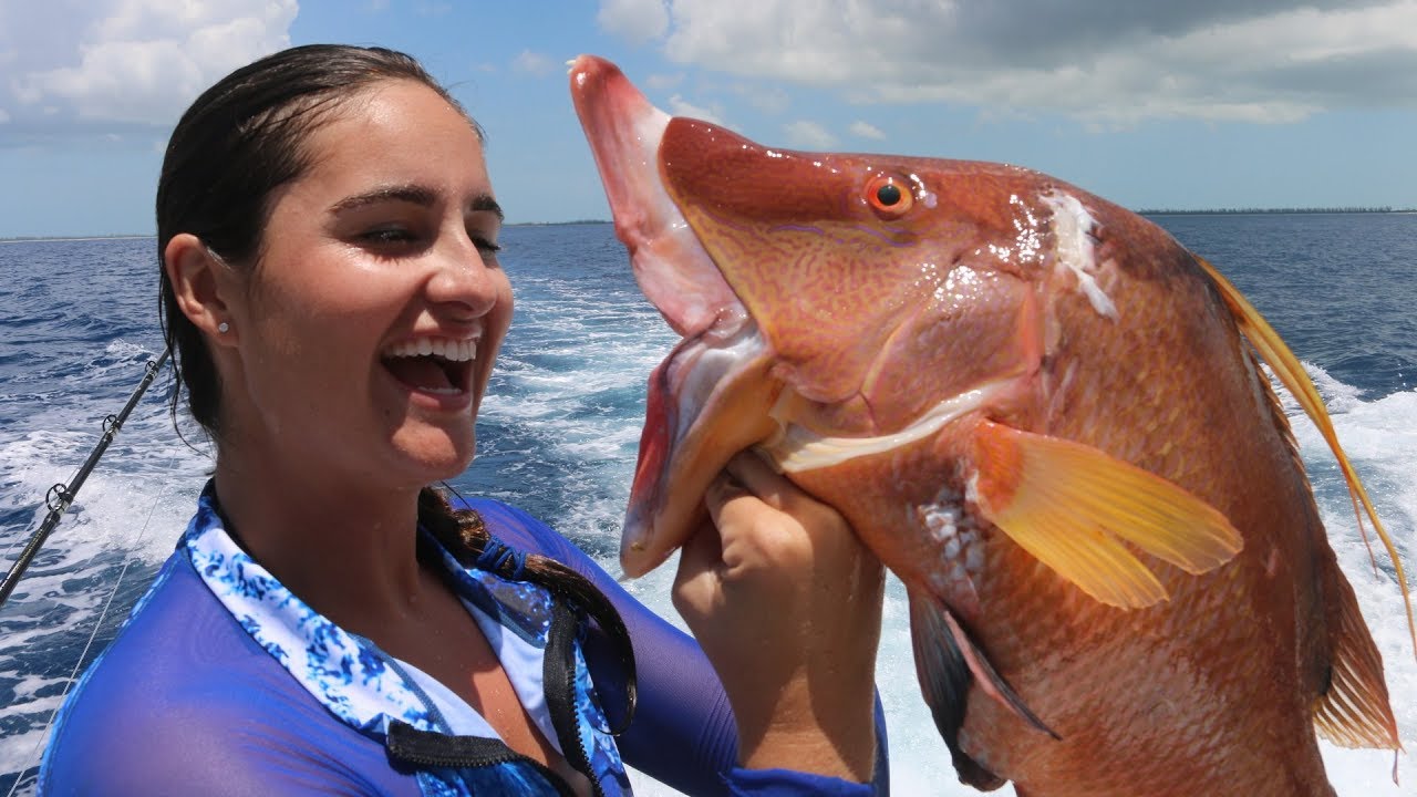 GIANT Hogfish SPEARED!!!! -Catch Clean Cook
