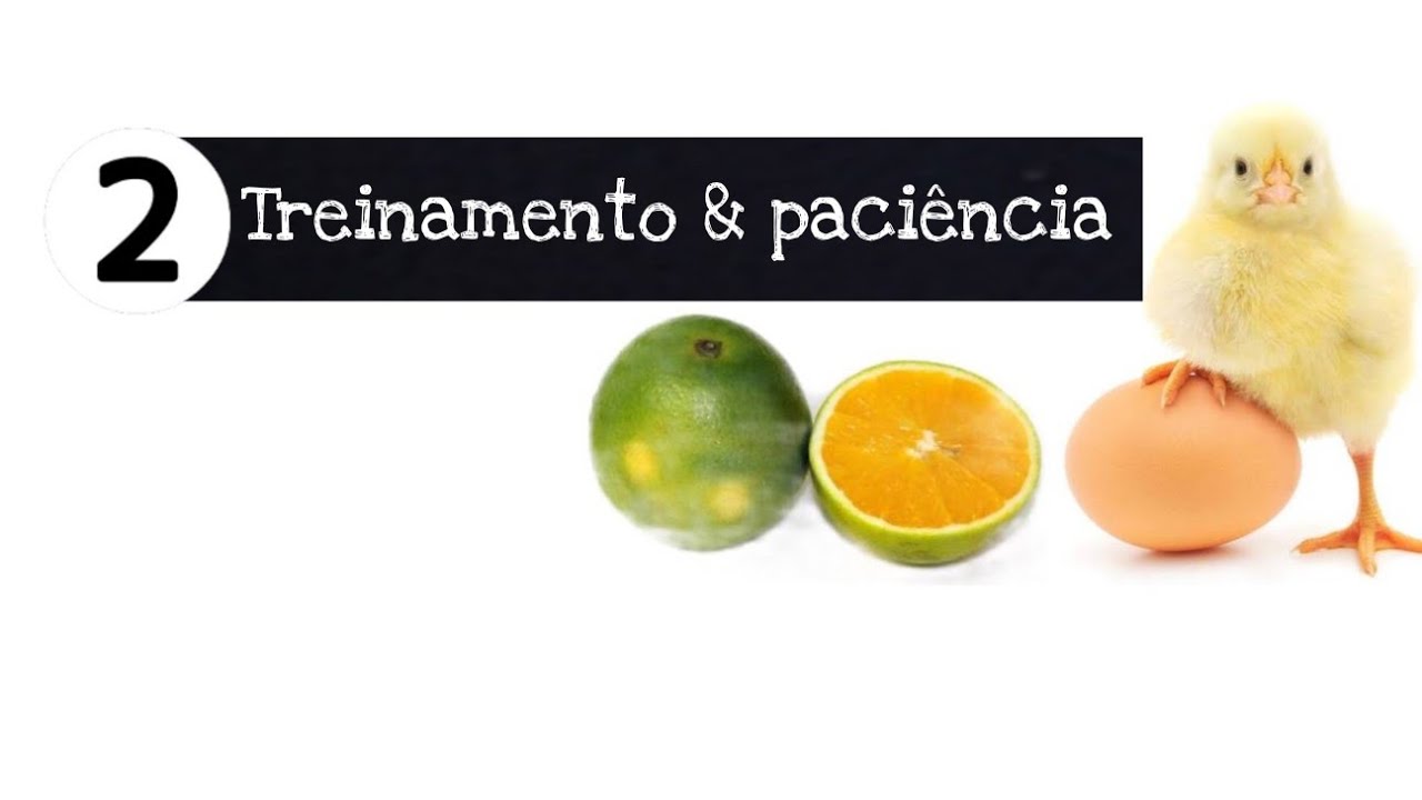 Treinamento na laranja para cutilagem e Treinamento no ovo paciência/cutilagem e esmaltação 2°aula