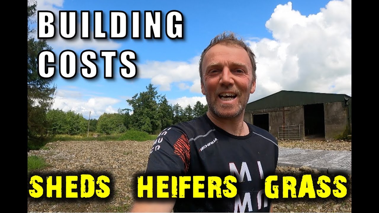 Building costs plus sheds, heifers, and grass
