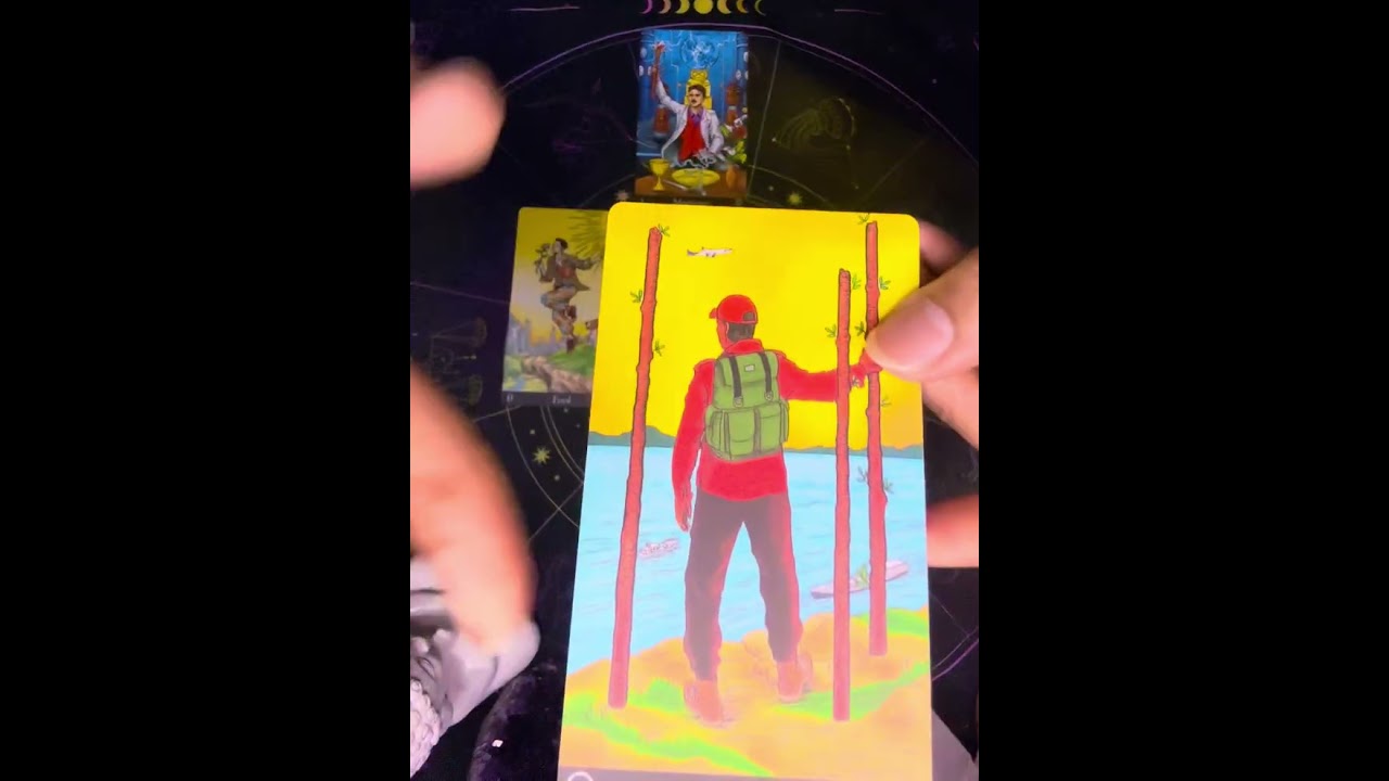 ✨A time of exciting change 💵✈️🦄✨#tarot #tarotreading #changeyourmindsetchangeyourlife #free 