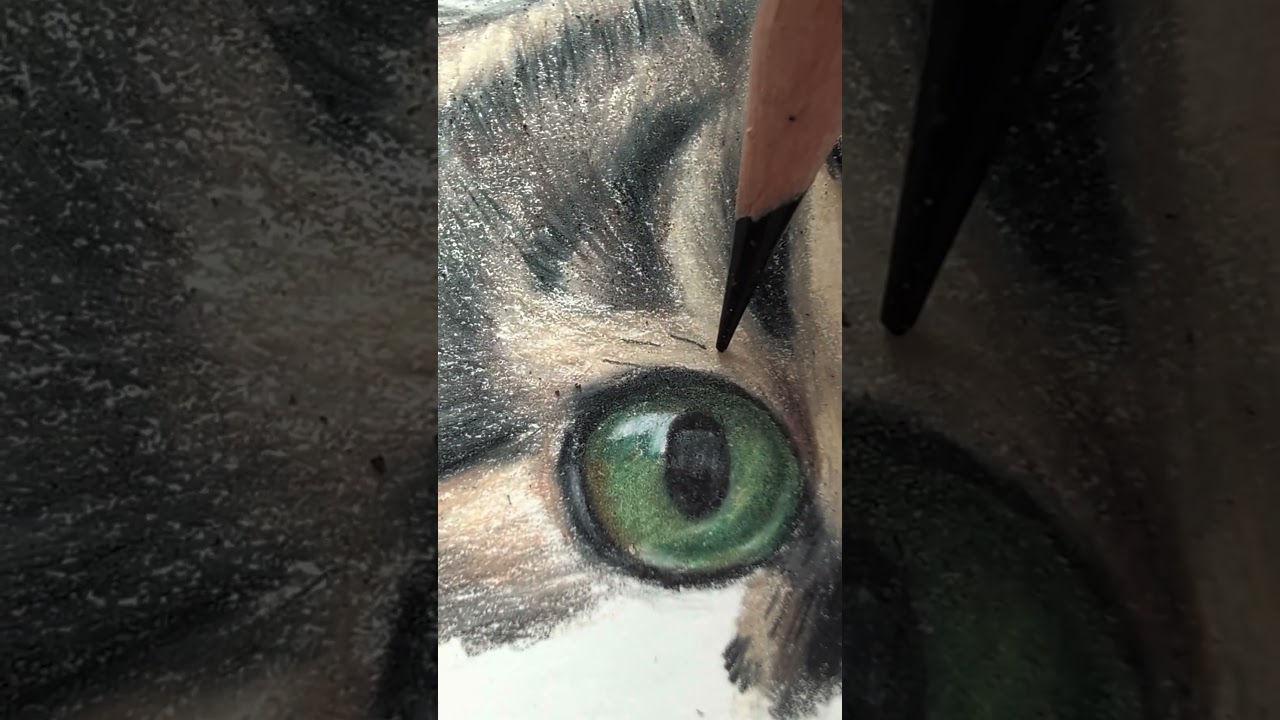 #piirustus #art #drawing #kissa #piirrustus #taide