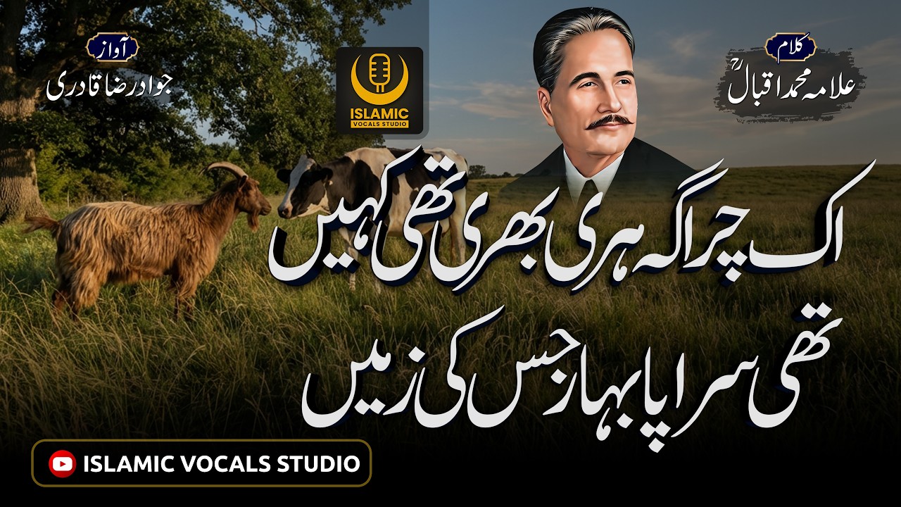 Ik Chiragah Hari Bhari Thi Kahin  Kalam-e-Iqbal  Allama Iqbal Poetry  Jawad Raza Qadri