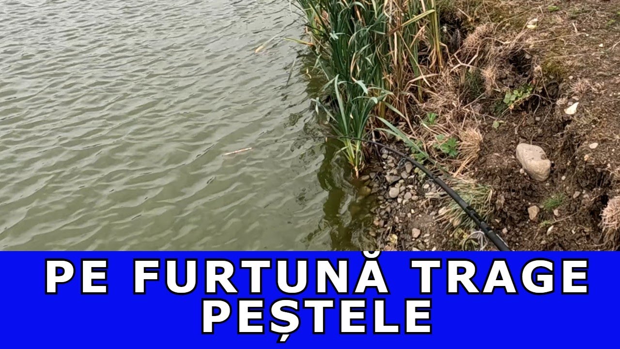 PESCUIT PE FRIG ȘI PLOAIE ȘI CRAPI FRUMOȘI