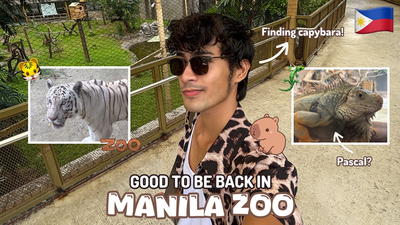 Good to be back in Manila Zoo 🇵🇭🦁 | Rudolf Villaseñor
