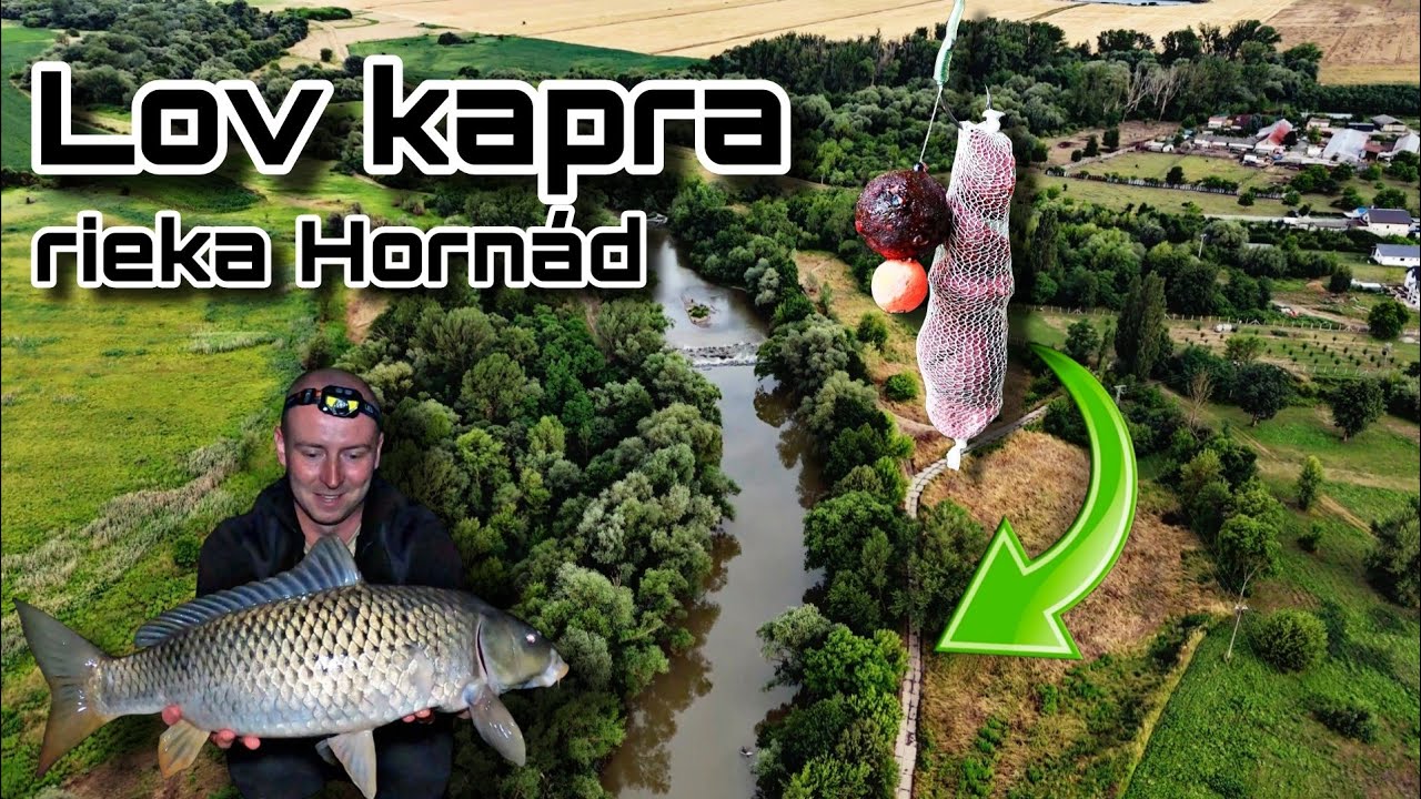 Lov kapra na rieke Horn&aacute;d 🐟M&aacute;m prv&eacute;ho kapra z tejto rieky!😍lov r&yacute;b na boilies + PVA, #rivercarp