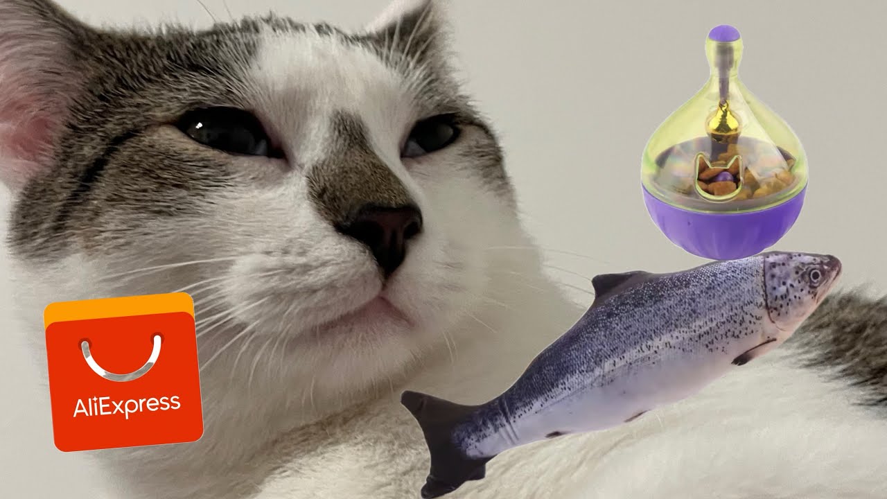 Роспаковка приколів з AliExpress #aliexpress #cat 