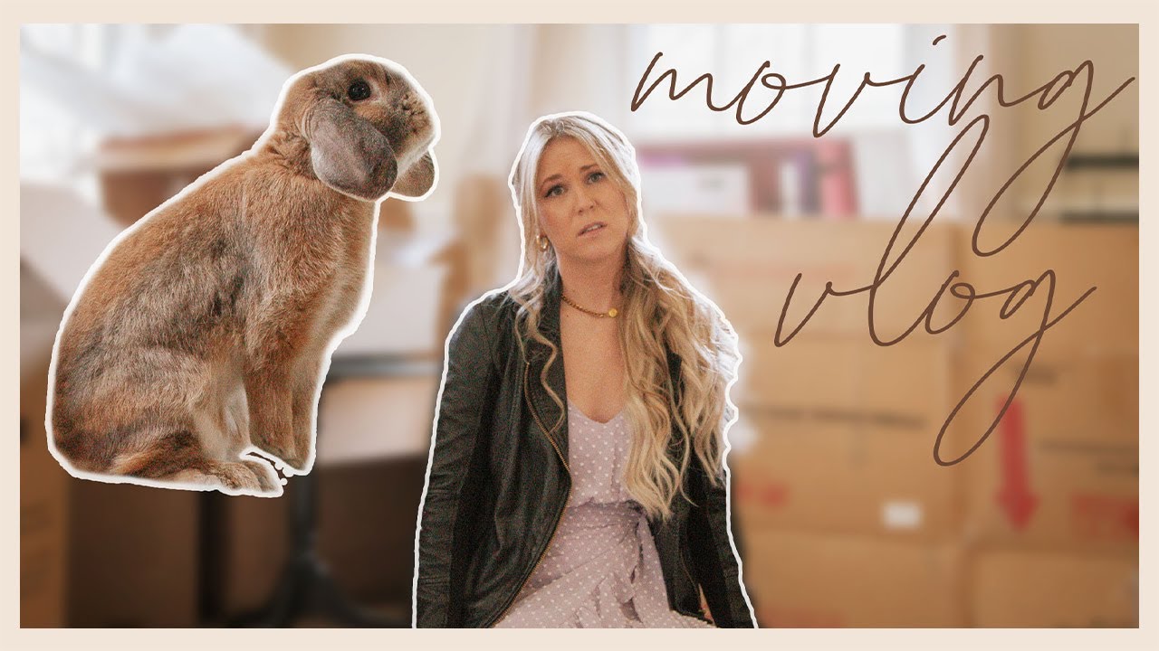 Moving with a Rabbit