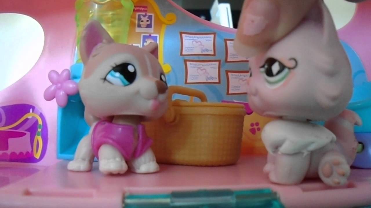lps: Adoption center ep1