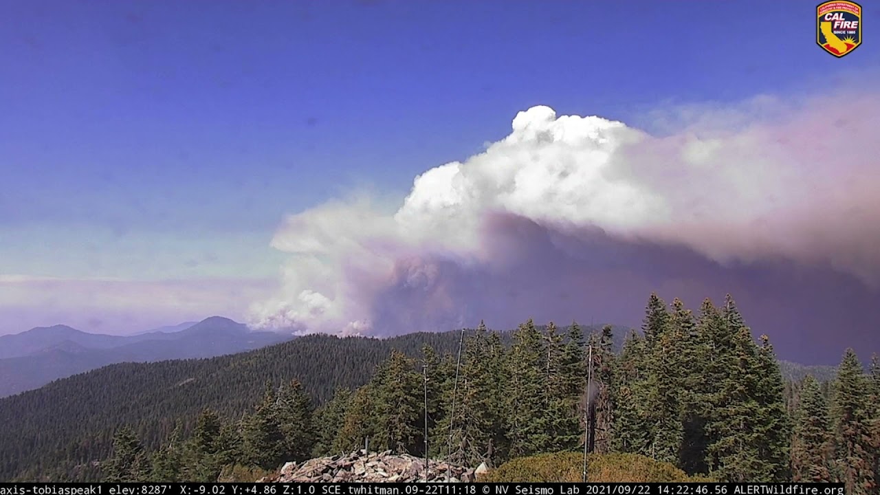 Evacuations Ordered as Windy Fire Rages in California's Sequoia National Forest