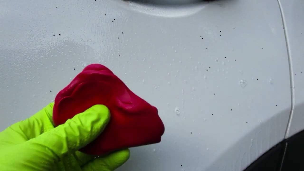 What's in your Mulch. (Removing Artillery Fungus) #cardetailing  #tipsandtricks #tutorial #tips